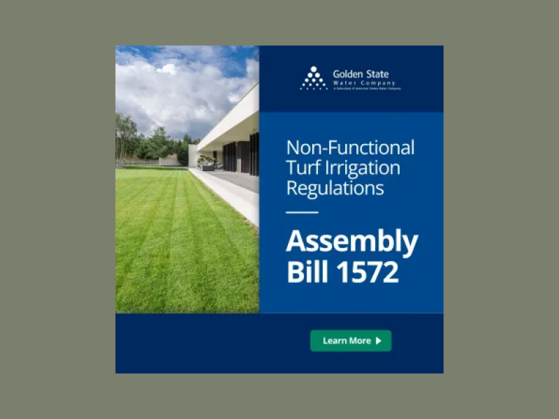 Assembly Bill (AB) 1572 (2023–2024): Understanding the New Law on Water Use and Nonfunctional Turf