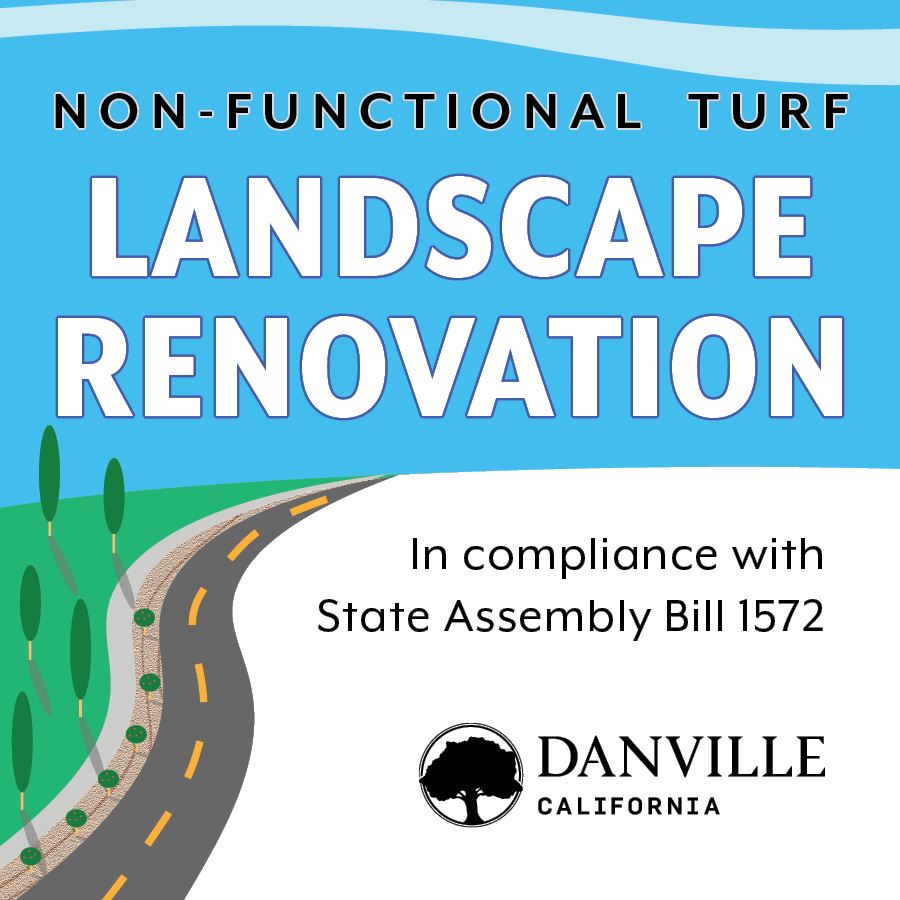 Danville Begins Non-Functional Turf Replacement Mandated by State Law