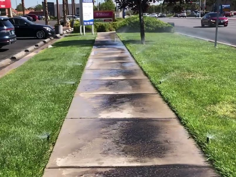 California Lawmakers Approve Non‑Functional Turf Ban