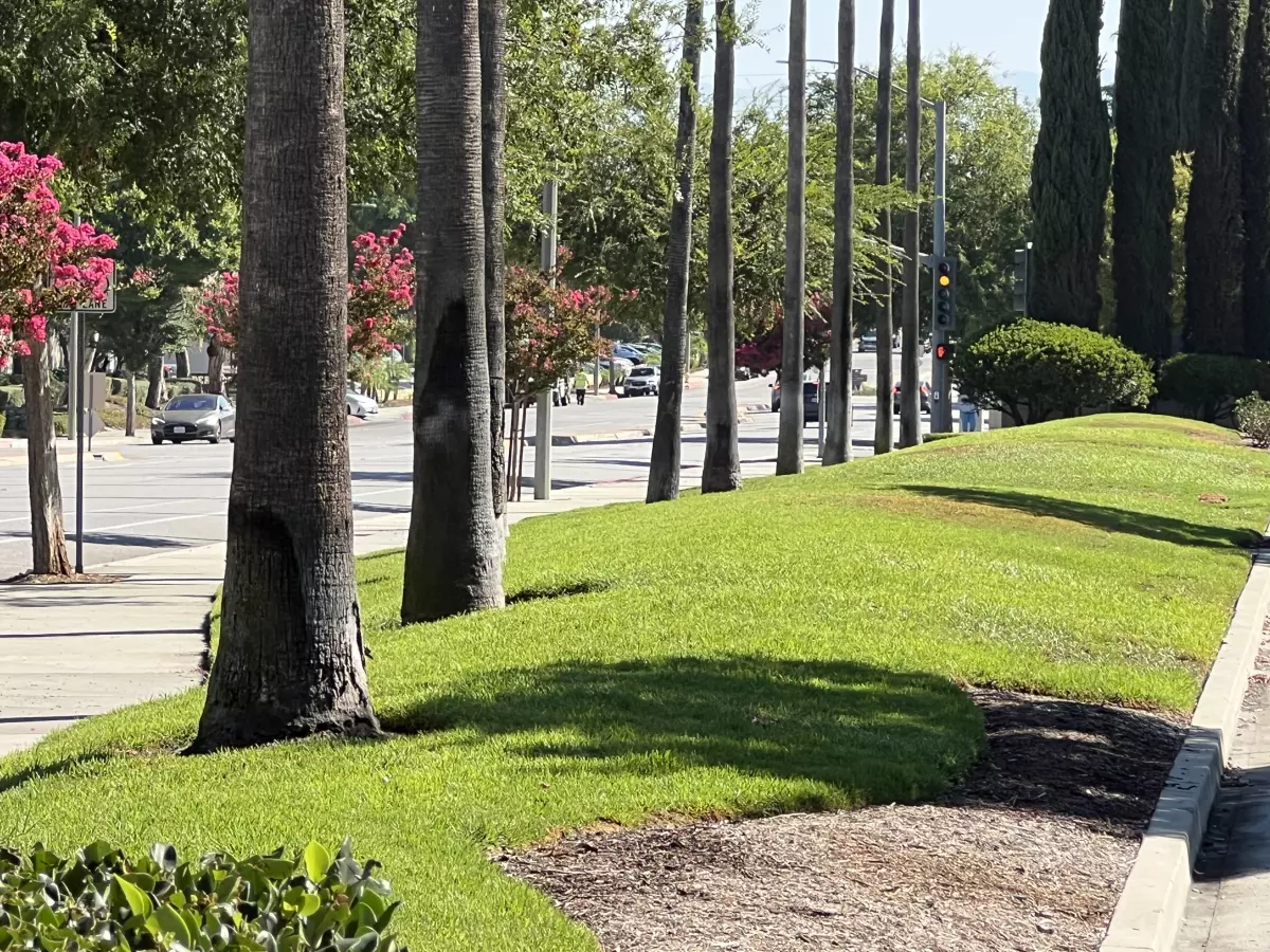 SoCal businesses and public institutions can get $7 per square foot to ditch their lawns