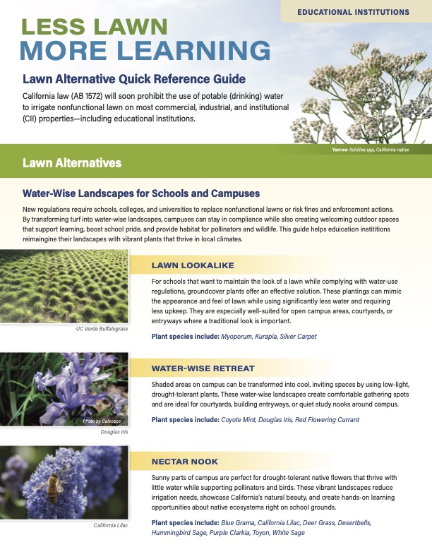Educational Institutions Lawn Alternatives Quick Reference