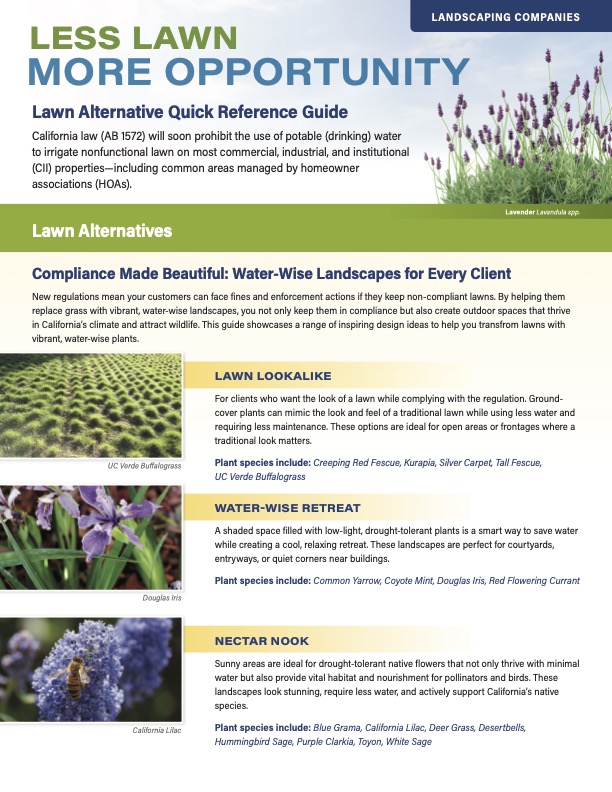 Landscaping Companies Lawn Alternative Quick Reference Guide
