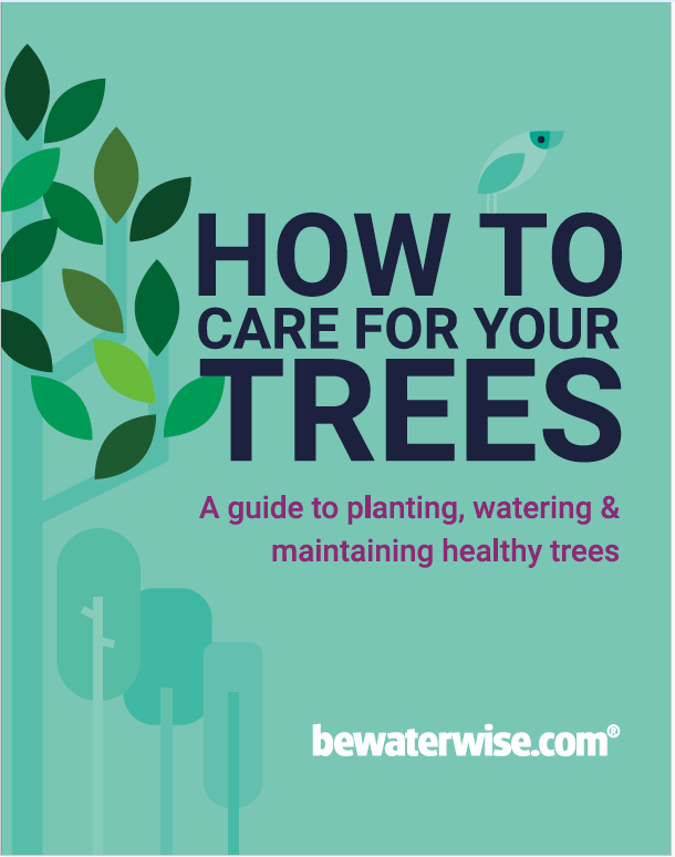How to Care For Your Trees (BeWaterWise.com)